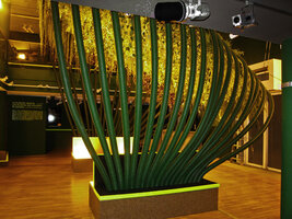 Folies vegetales, Plafond Végétal  lighted at night from the open bottom benches at the EDF Electra exhibition by Patrick Blanc, Paris