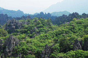 Forest at the top of karst needles, Phou Hin Poun NBCA, Khammouane, Laos