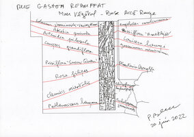 Plant Design, outdoor vertical garden with lianas, DWS Gaston Rebuffat, Paris