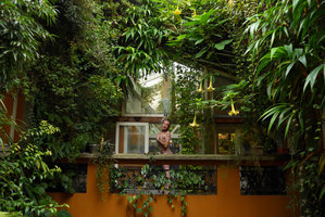 Global Warming exemplified by Patrick Blanc taking his shower outdoors under a Brugmansia in full bloom on 6 th December 2015 in Paris