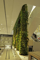 Green Columns by Patrick Blanc, Robinsons, Dubai