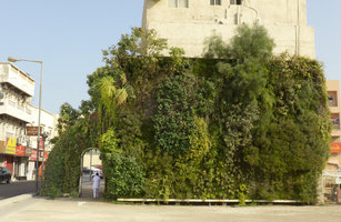 Green Gate, front view, Vertical Garden by Patrick Blanc, Bahrain, Jan. 2017