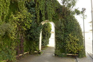 Green Gate, Vertical Garden by Patrick Blanc, view through the arch door, Bahrain, Jan. 2017