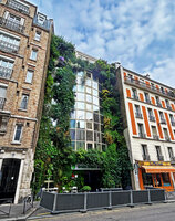 Green Hotel, Paris, Vertical Garden by Patrick Blanc, 10 years after plant installation, April 2026