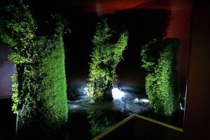 Halong Bay, Patrick Blanc exhibition, Espace EDF Electra, Paris