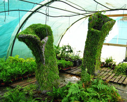 Halong Bay planted structures preparation in glasshouse for P. Blanc exhibition Folies Vegetales at EDF Electra Foundation, Paris, in 2006