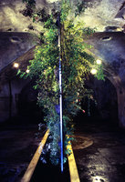 Hanging Blade as a green mirror by Patrick Blanc, In situ In visu exhibition, Albi, France