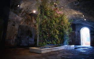 Hanging Blade by Patrick Blanc, In situ In visu exhibition, Albi, France