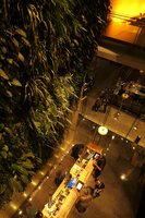 Hotel Icon, check in at night under the Vertical Garden, Hong Kong
