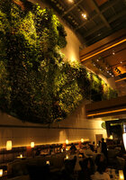 Hotel Icon, dinner under the Vertical Garden, Hong Kong