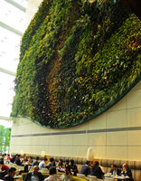 Hotel Icon, lunch under the Vertical Garden, Hong Kong