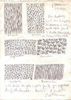 HypoVereinsbank, München, proposiion by Patrick Blanc