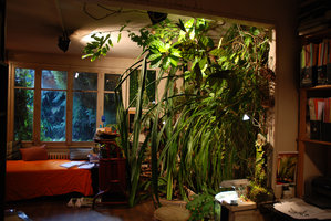 Indoor and outdoor vertical garden in Patrick Blanc Home, Creteil, 2008