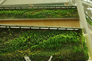 Indoor Vertical Garden at the KAFD Conference Center, Riyadh
