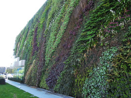 Jupiter, Sainte-Geneviève des Bois, side view, April 2014