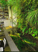 Juxtaposition of transparent glass covered floor with free exposed water in Patrick Blanc&#039;s jungle home as the main inspiration for the new Dreamscape garden at Changi airport T 2
