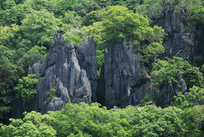 Karst needles emerging from the forest, Phou Hin Poun NBCA, Khammouane, Laos