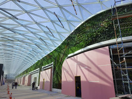 Koweit International Tennis Complex, KITC, part of the 410 m long Vertical Garden by Patrick Blanc Jan. 2020