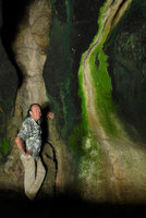 Patrick Blanc leaning against a vertical limestone wall in a cave with dark blue green Cyanobacteria and bright green Algae covering the rock surface, Payakumbuh, West Sumatra, Dec. 2016