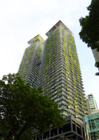 Le Nouvel Towers, Vertical Garden by Patrick Blanc, a forest above the street trees, Kuala Lumpur, Dec. 2016
