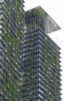 Le Nouvel Towers, climbers and top vertical garden, Kuala Lumpur, Dec. 2016
