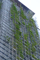 Le Nouvel Towers, climbers covering the façade, 200 m above the street, Kuala Lumpur, Dec. 2016