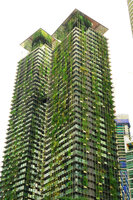 Le Nouvel Towers, Climbers on façades and the Top Vertical Gardens, Kuala Lumpur, Aug. 2018. jpg
