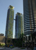 Le Nouvel Towers, Vertical Garden climbers by Patrick Blanc,  early morning sun, Kuala Lumpur, Dec. 2016