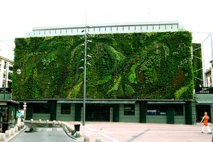 Les Halles, Vertical Garden by Patrick Blanc, June 2006
