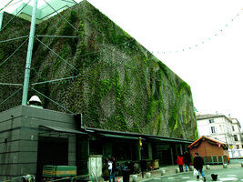 Les Halles, Vertical Garden by Patrick Blanc three months after the plant installation, Dec. 2005, Avignon