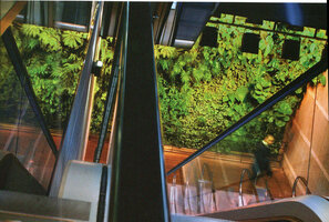 Les Passages, Vertical Garden by Patrick Blanc, Boulogne Billancourt, 2001