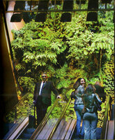 Les Passages, Vertical Garden by Patrick Blanc, Boulogne Billancourt, France