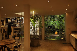 Living room, bookshelves, living Cissus root curtain, the desk standing on the 25 cubic meters aquarium and the indoor vertical garden in Patrick Blanc&#039;s home, July 2019