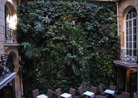 Lower part of the Vertical Garden by Patrick Blanc at the Pershing Hall in 2004