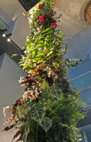 Living Pendant, DWS Gaston Rebuffat, Paris