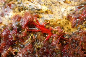 Macarenia clavigera, bright red stems, petioles, filamentous leaves and flowers, Cano Cristales, Serrania Macarena NP, Meta, Colombia