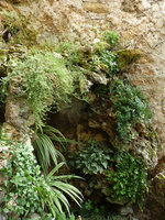 Maison Trevier, Garden Limestone Cave entrance, Carpentras