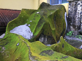 Man made concrete structure totally covered with bright green, somewhat iridescent algae and mosses, Makassar, South Sulawesi