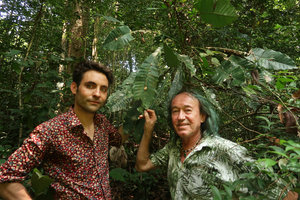 Marc Jeanson and Patrick Blanc holding the leaf of Phyllobotryon spathulatum with flowers emerging from the main central leaf vein, Kribi, Cameroon, March 2018
