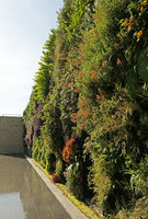 Mc Arthur Glen Provence Vertical Garden in full bloom in April, Mas de la Peronne, Miramas