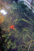Mist on the first Vertical Gardens, Cité des Sciences et de l&#039;Industrie, Paris, 1986
