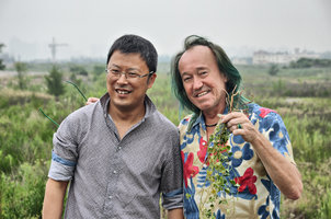 Mr Meng and Patrick Blanc holding a specimen of Calystegia soldanella on the new project site, Qingdao, China, July 2015
