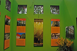 New York Botanical Garden Orchid Show by Patrick Blanc, a view inside the Gazebo, March 2012