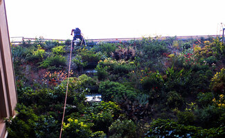 Nicolas Lefranc ready to hang from the top to take care of the Vertical Garden at the Pershing Hall hotel, Paris