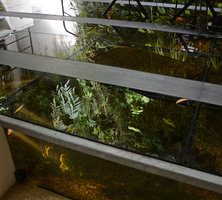 Night reflection on the glasses, Patrick Blanc Home