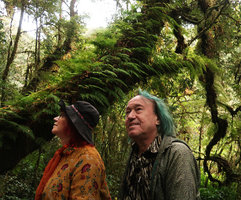 Noemie Vialard and Patrick Blanc in the mossy forest, the trunk covered by the fern Araiostegia faberiana, Doi Inthanon NP, 2500 m asl, Thailand, Nov. 2018