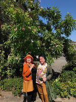 Noemie Vialard and Patrick Blanc under a blooming chitalpa tashkentensis, Cancale, France, Aug. 2019