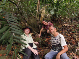 Noemie Vialard, Patrick Blanc and Pascal Heni around a brown Begonia blancii, Palawan, Philippines, March 2014