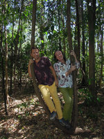 Not parasitic Rafflesia flowers, just Pascal Heni and Patrick Blanc swinging on a Tetrastigma loop, Tangkoko, Sulawesi, Aug. 2015