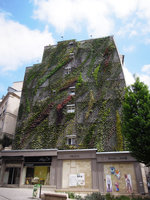 Oasis d&#039;Aboukir, one month after plant installation, 5th May2013